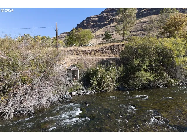 a view of swimming pool with a yard and large tree