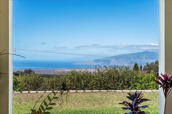a view of a yard with an outdoor seating