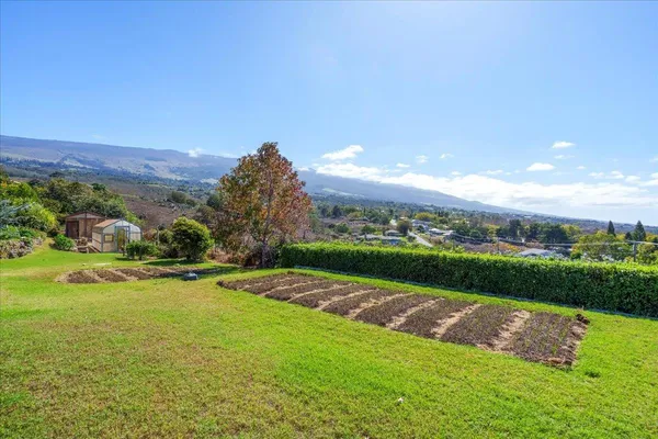 a view of outdoor space yard and swimming pool