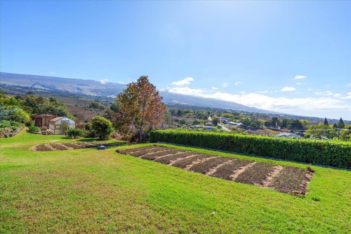 40 Pulehu Road Kula, HI 96790 - Photo 35 of 49 a view of outdoor space yard and swimming pool