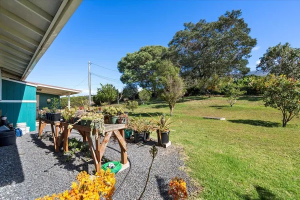 a view of a basket ball ground