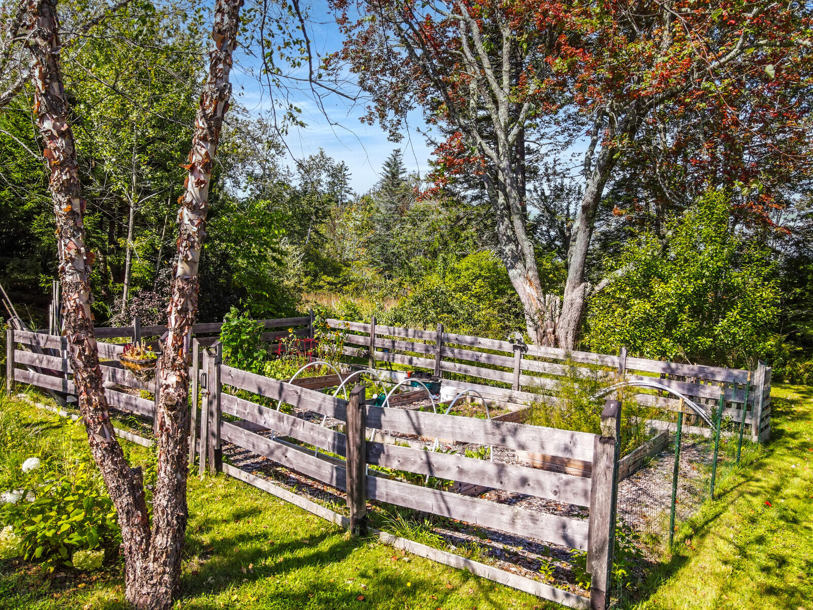 60 Beach Point Road St. George, ME 04860 - Photo 24 of 86 29_DJI_0457_copy_DxO_mls