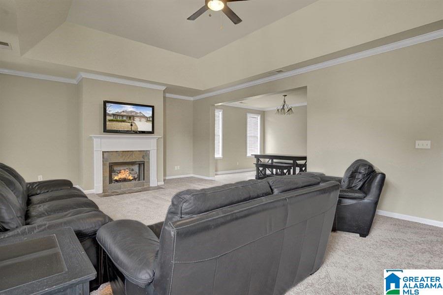 591 Village Springs Lane Springville, AL 35146 - Photo 3 of 23