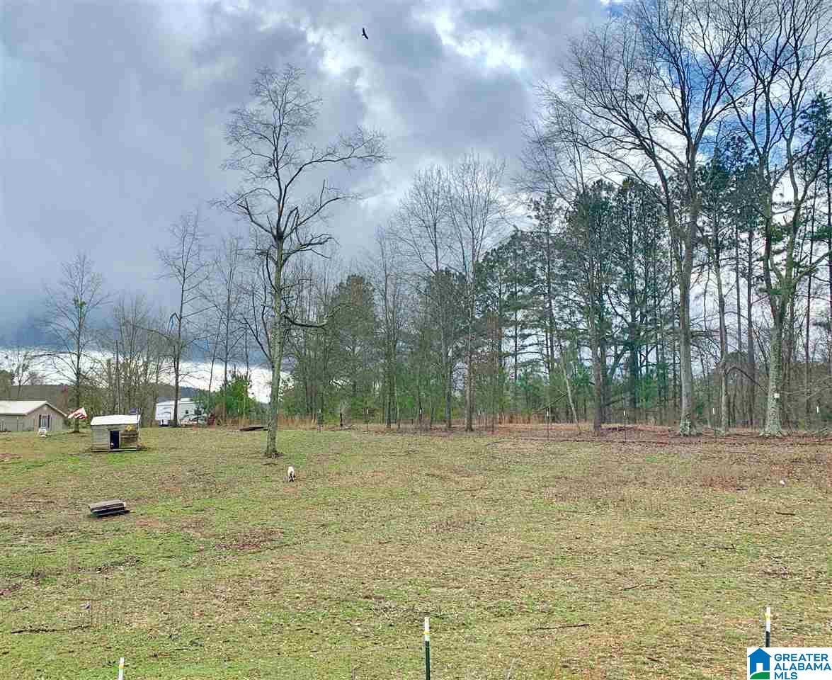 3139 Green Valley Road Gadsden, AL 35907 - Photo 47 of 49