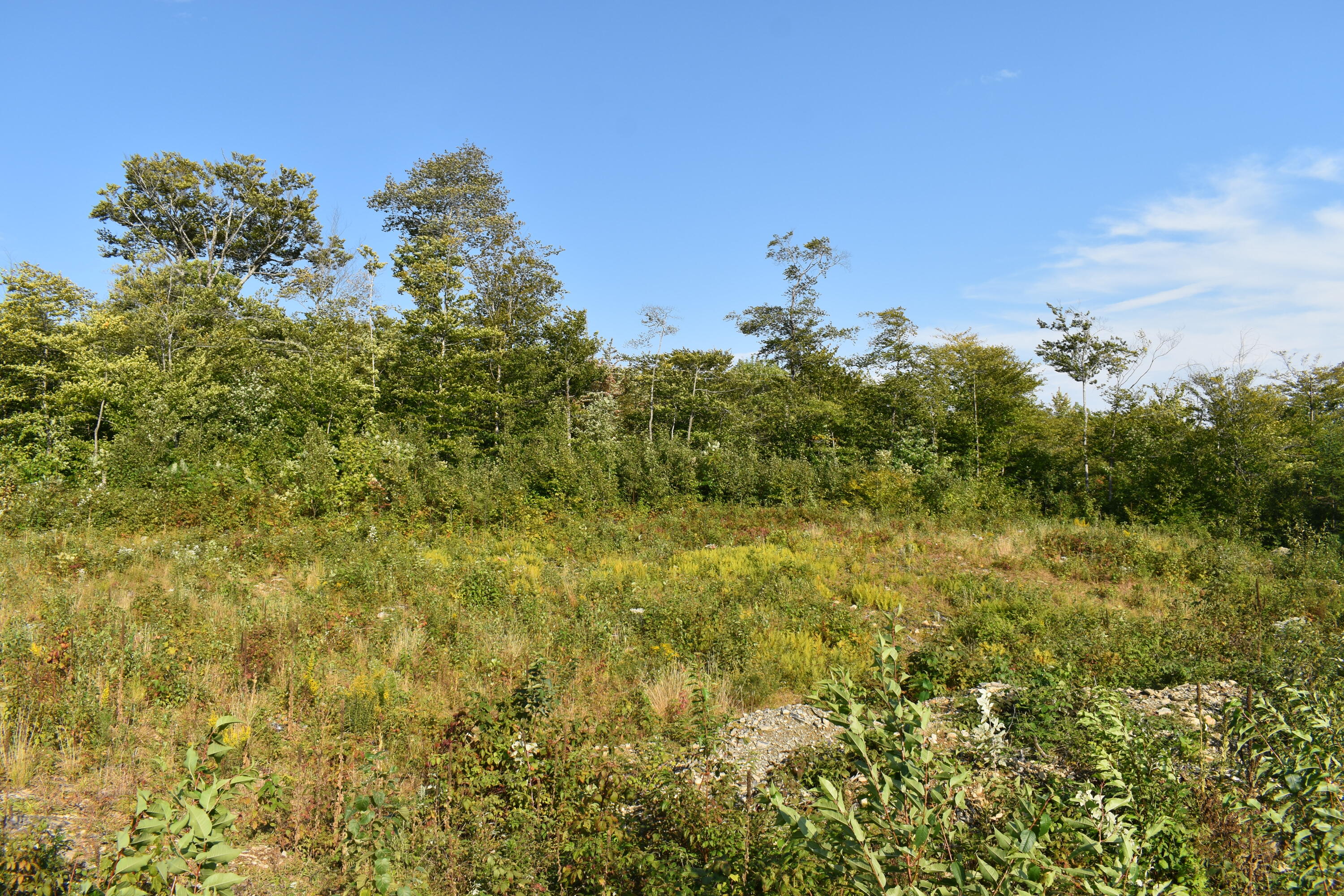 Lot 8 West Old Main Road Lowell, ME 04493 - Photo 7 of 9 DSC_0351
