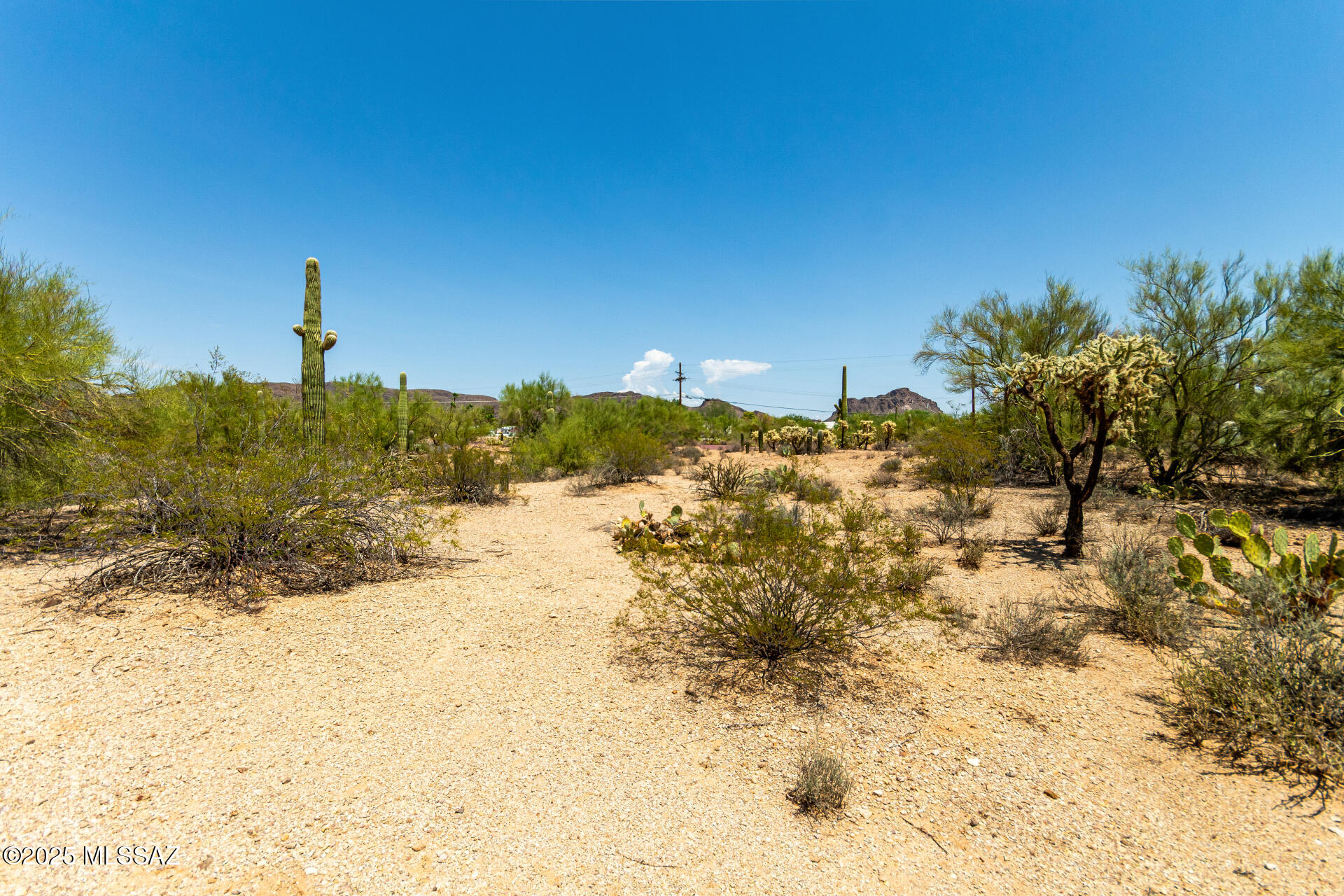 2900 South Kinney Road, Unit 13 Tucson, AZ 85735 - Photo 8 of 12 Gallery Image 8