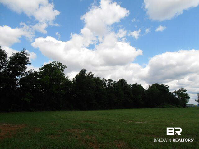 29320 County Road 32 Elberta, AL 36530 - Photo 38 of 41 Back buffer