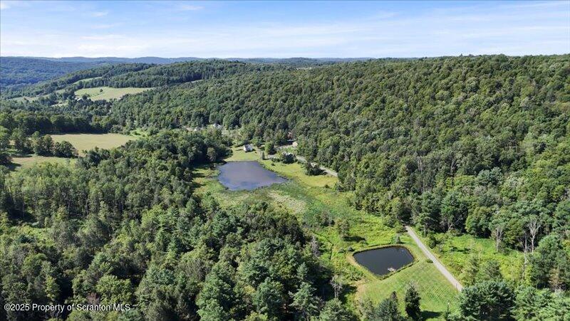 10846 Forest Lake Road Montrose, PA 18801 - Photo 39 of 42 a view of a bunch of trees and bushes