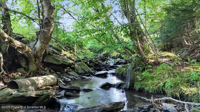 $320,000 | 10846 Forest Lake Road, Montrose, PA 18801