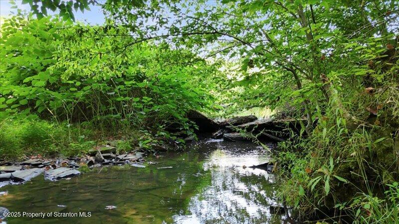 10846 Forest Lake Road Montrose, PA 18801 - Photo 42 of 42 a backyard of a house with a yard