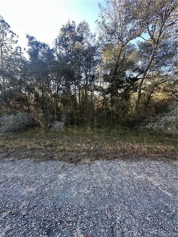 $25,000 | 3908 West Tropic Lane, Dunnellon, FL 34433