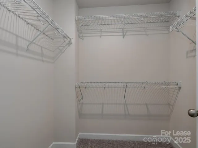 a view of backyard with potted plants and large tree