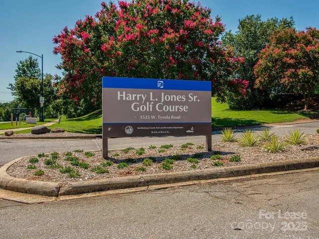 a view of a park with large trees