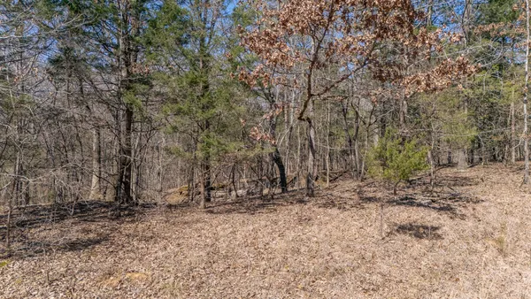 an aerial view of a house with outdoor space and lake view
