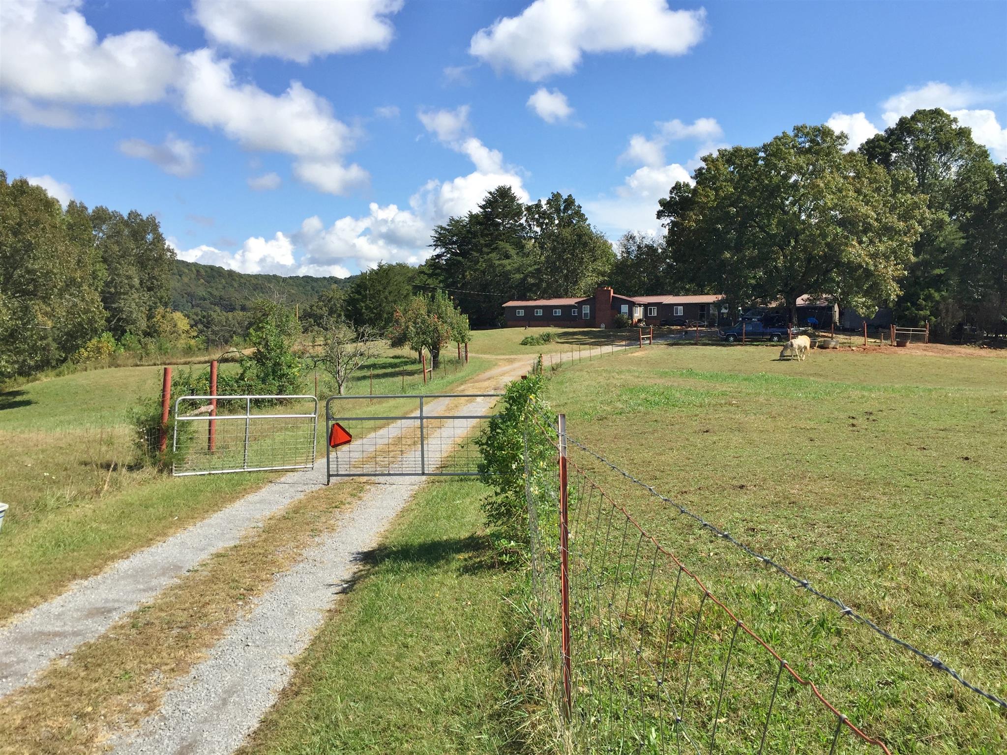 779 Bone Cave Road Rock Island, TN 38581 - Photo 13 of 17 Gallery Image 13