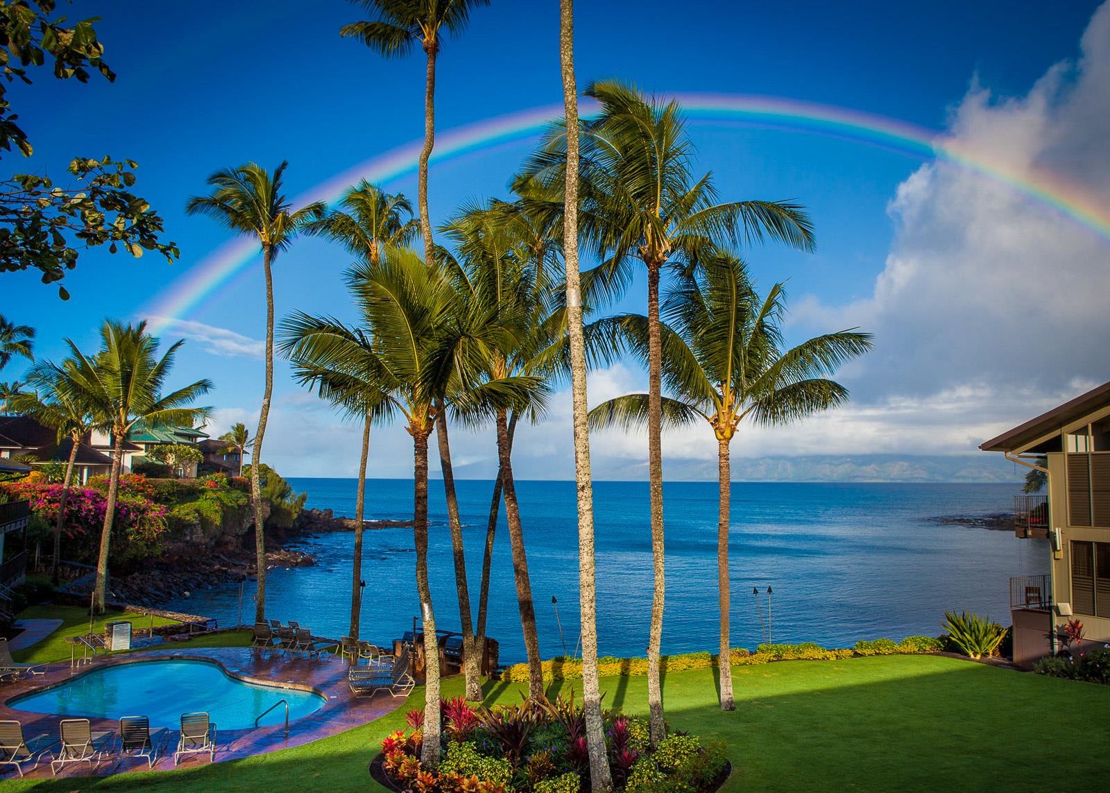5255 Lower Honoapiilani Road, Unit 212 Lahaina, HI 96761 - Photo 1 of 17 a view of a backyard with potted plants