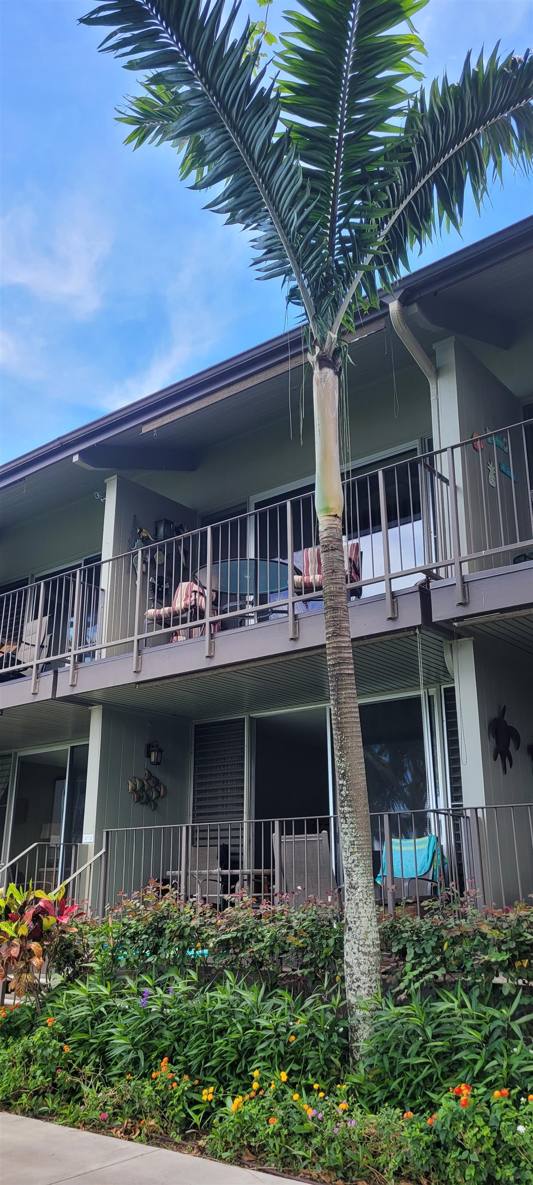 5255 Lower Honoapiilani Road, Unit 212 Lahaina, HI 96761 - Photo 15 of 17