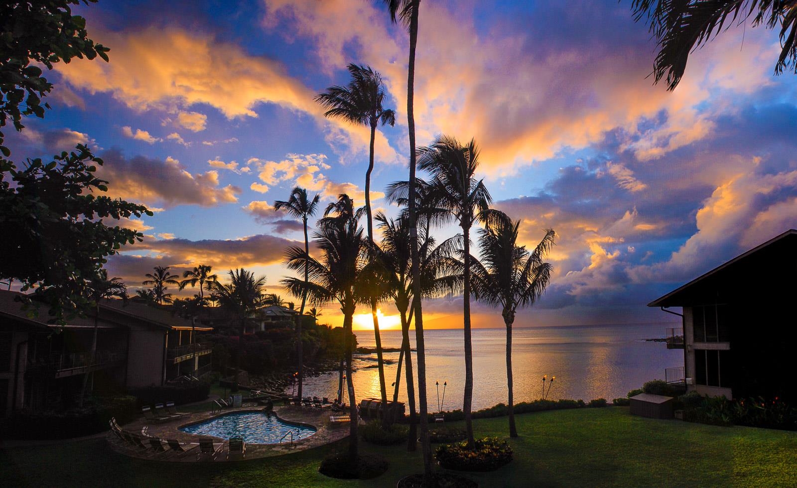 5255 Lower Honoapiilani Road, Unit 212 Lahaina, HI 96761 - Photo 8 of 17 a view of a backyard with a garden