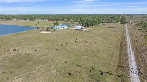 a potted plant sitting in front of a house