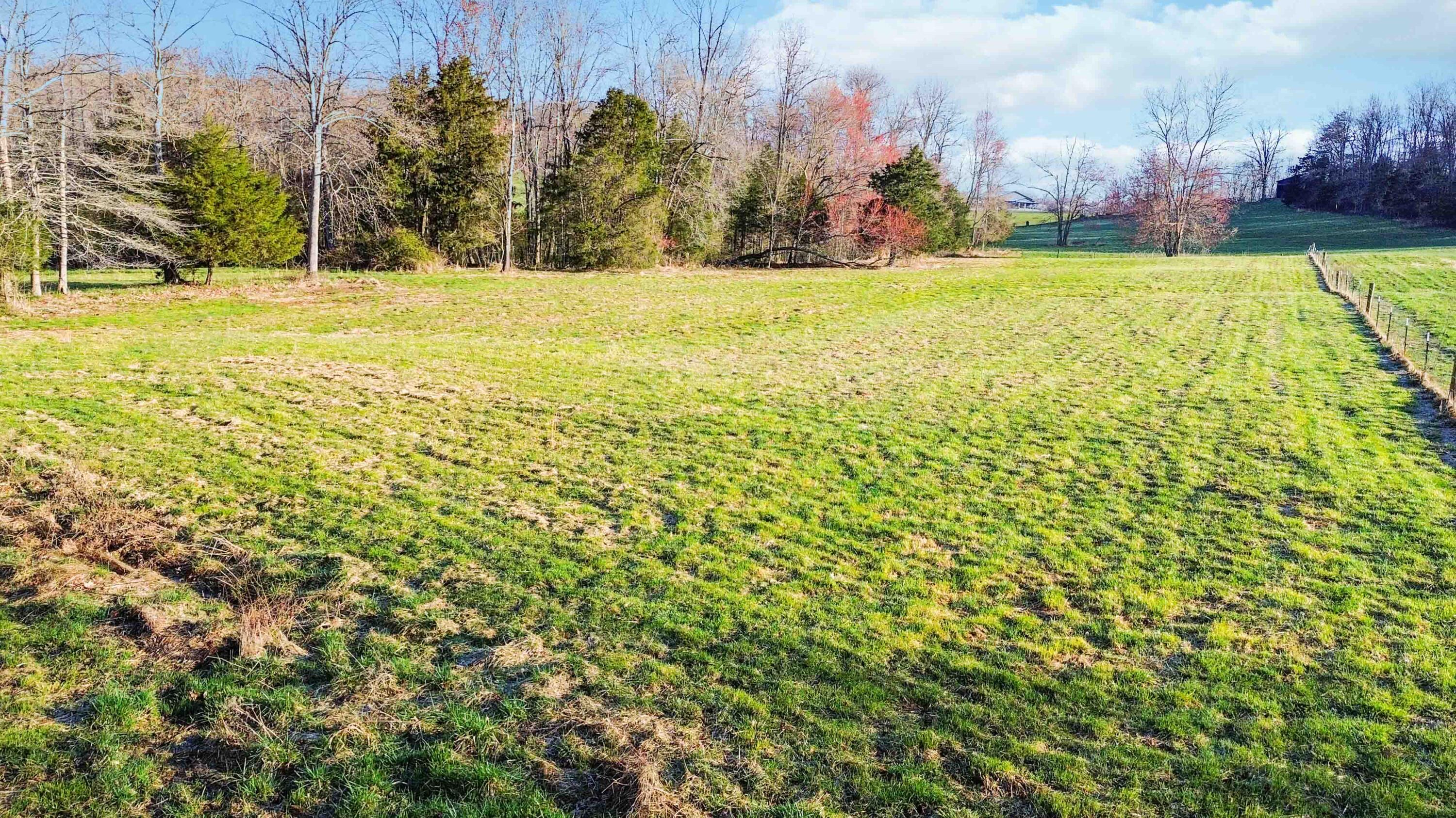 999 East Todd Road Science Hill, KY 42553 - Photo 5 of 17 015