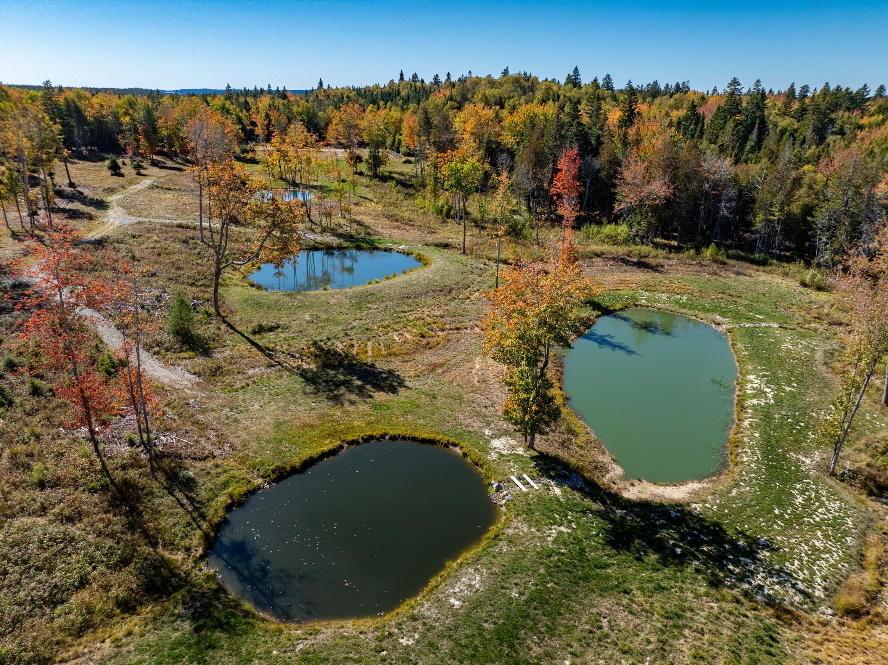 408 Duck Cove Road Roque Bluffs, ME 04654 - Photo 13 of 91