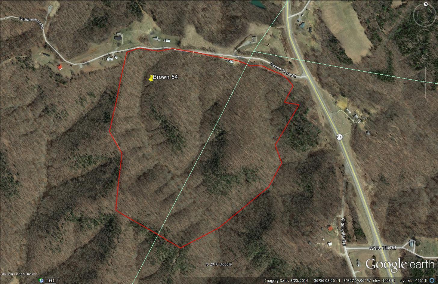 0 Dividing Ridge Road Breeding, KY 42715 - Photo 11 of 12 Brown 54 revised aerial