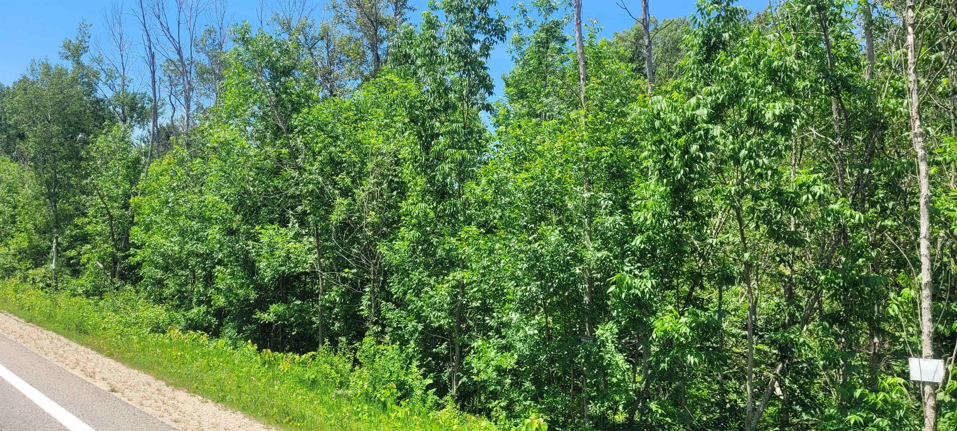 0 Ellsworth Road Ellsworth, MI 49729 - Photo 2 of 5 Gallery Image 2