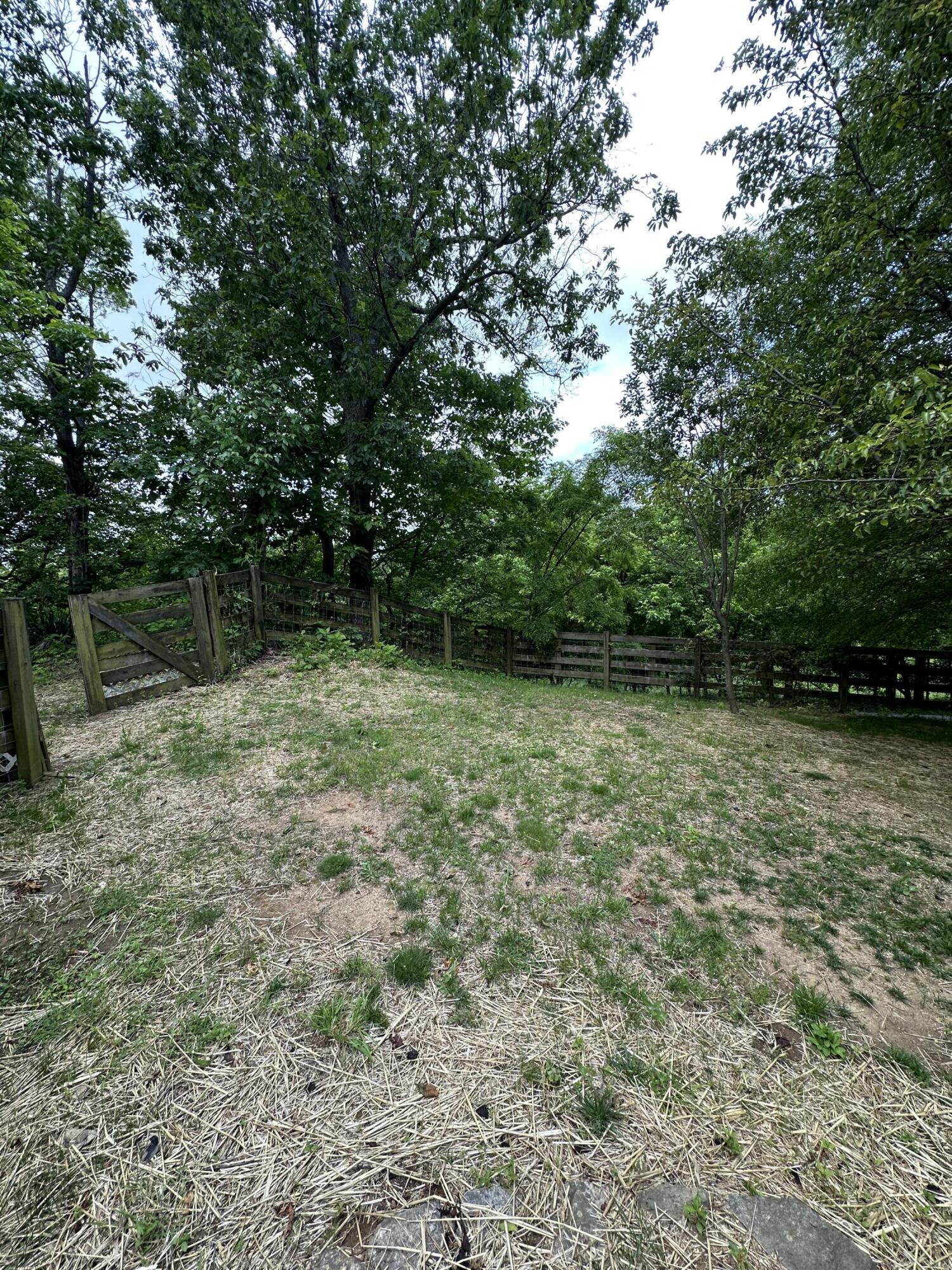 2897 Murray Hollow Road Thaxton, VA 24174 - Photo 8 of 28 IMG_0572