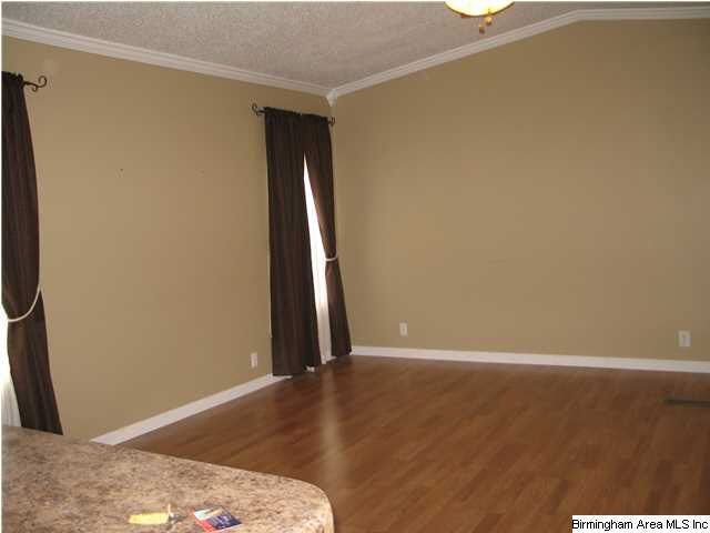 4276 Dry Creek Road Pell City, AL 35128 - Photo 2 of 20
