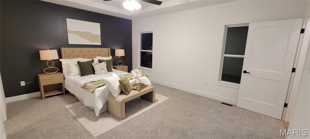 1433 Guilford Place Troy, IL 62294 - Photo 46 of 97