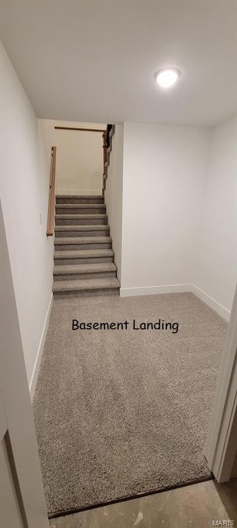 1433 Guilford Place Troy, IL 62294 - Photo 60 of 97