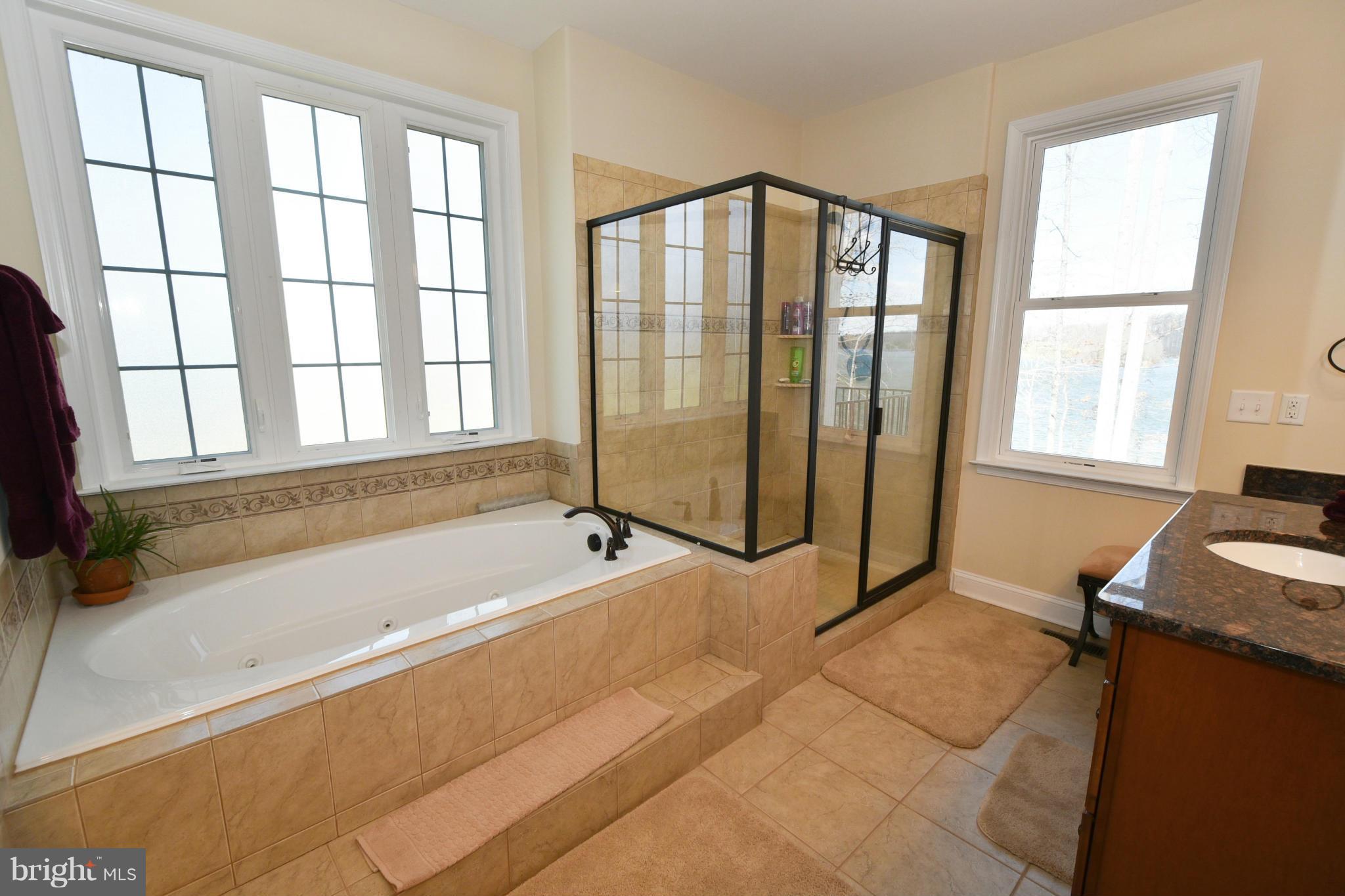 264 Lane Road Bumpass, VA 23024 - Photo 16 of 30 a spacious bathroom with a tub and shower