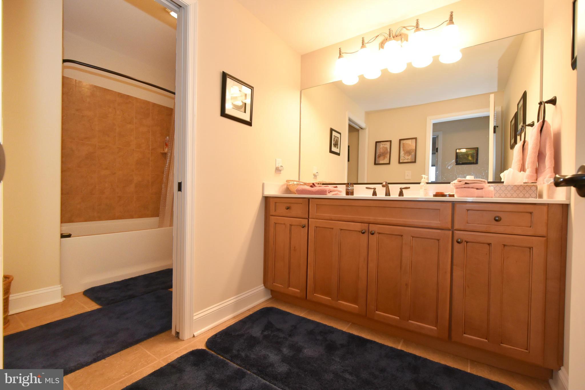 264 Lane Road Bumpass, VA 23024 - Photo 26 of 30 a bathroom with a sink and a mirror