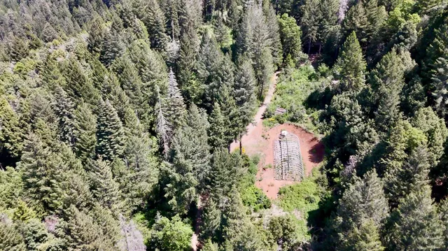 a view of a garden with plants