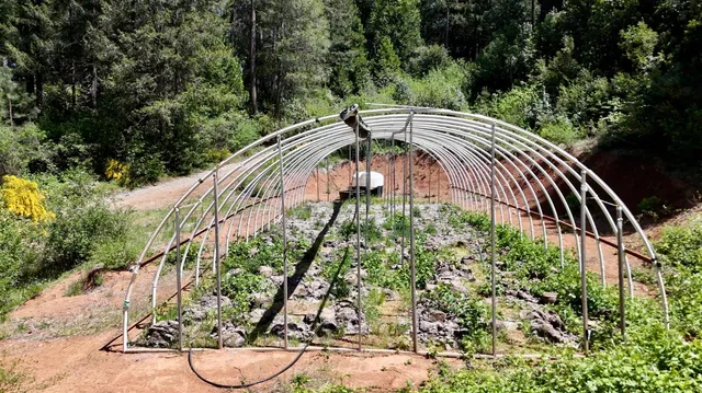 a view of swimming pool with a yard