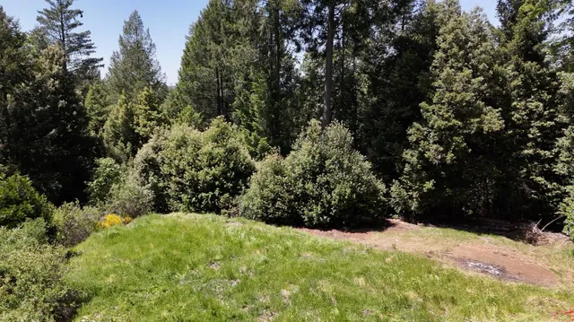 a view of a dry yard