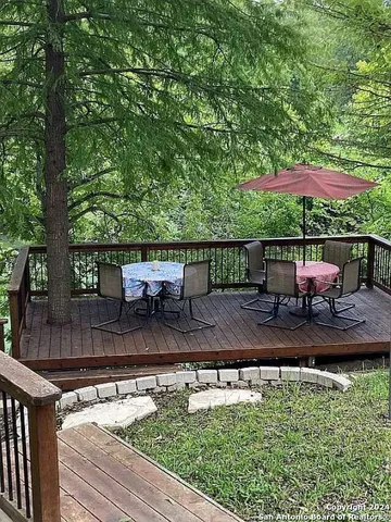 a view of a tree in a yard