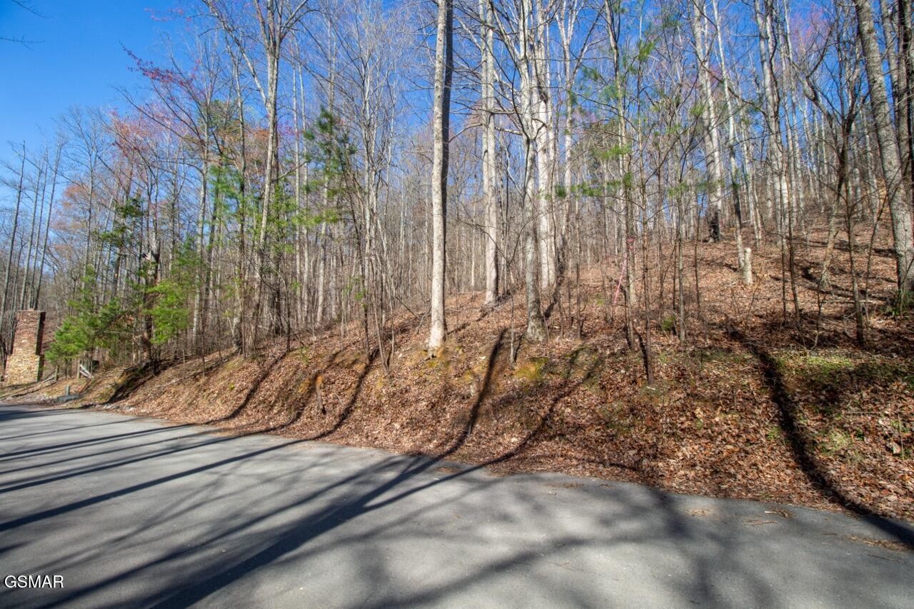 2 Lone Ridge Drive Sevierville, TN 37862 - Photo 5 of 9