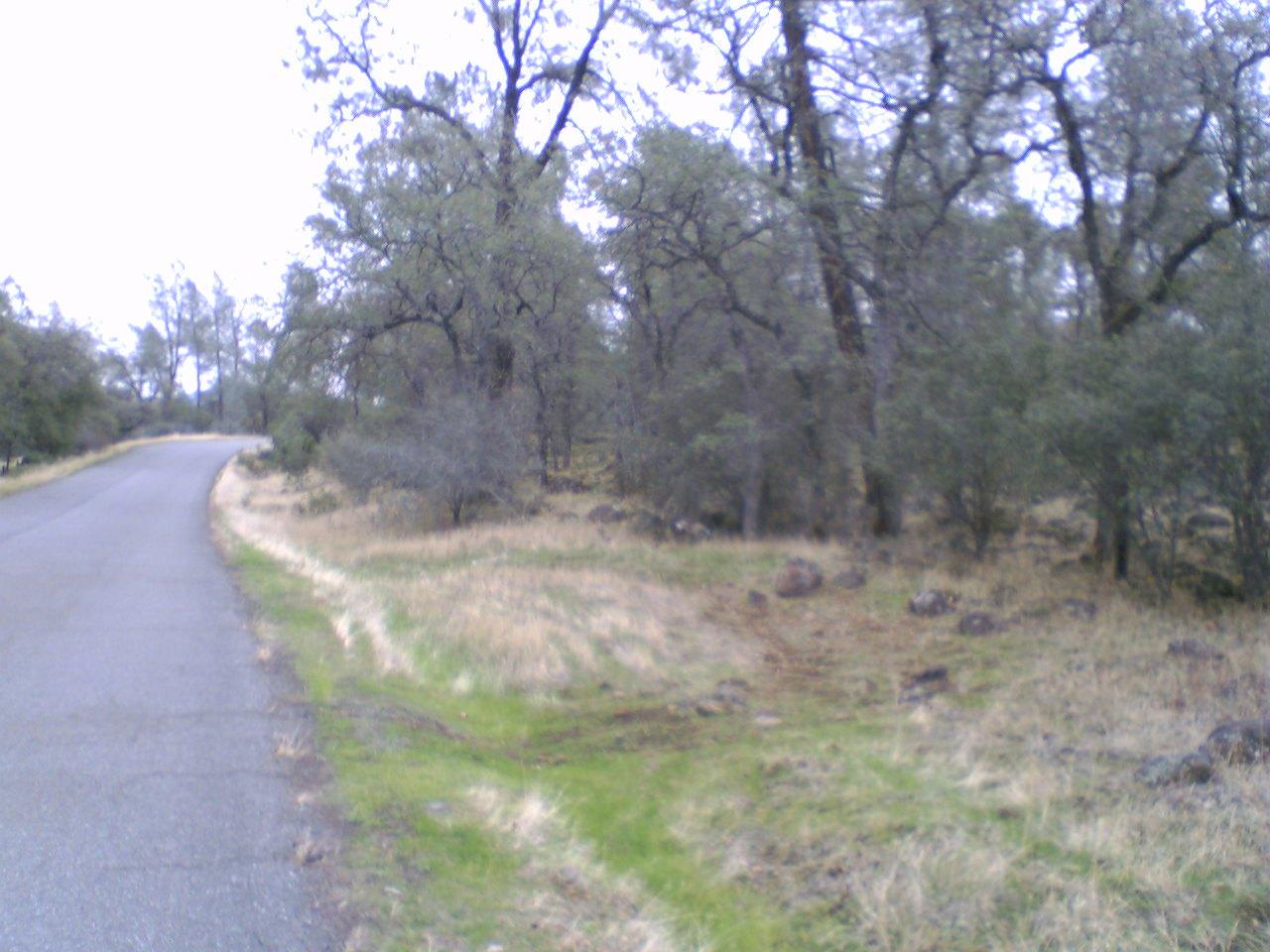 Wildcat Shingletown, CA 96088 - Photo 4 of 7 800 feet Paved road frontage
