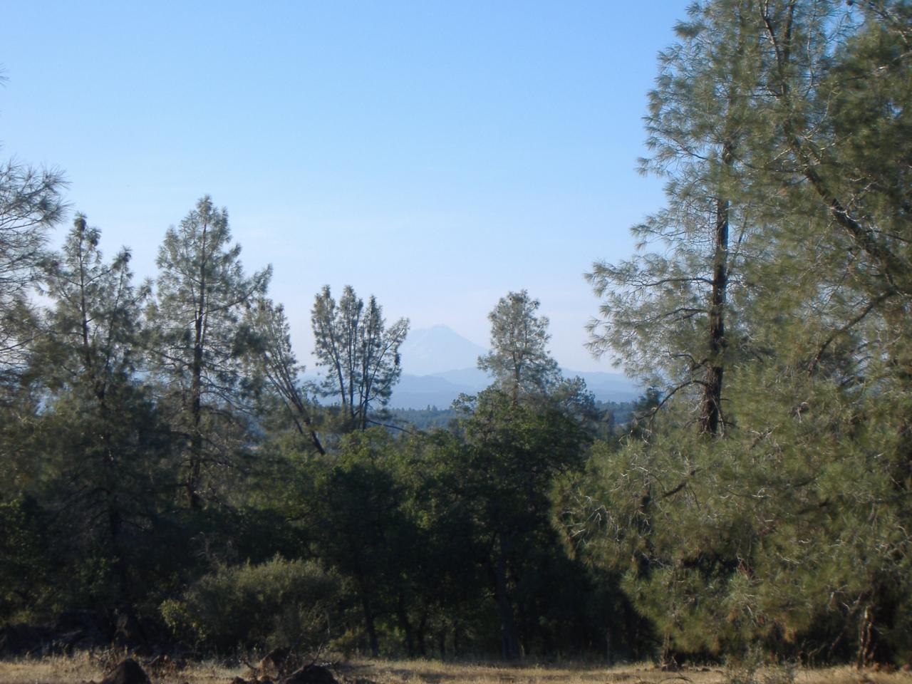Wildcat Shingletown, CA 96088 - Photo 5 of 7 Mountain Views