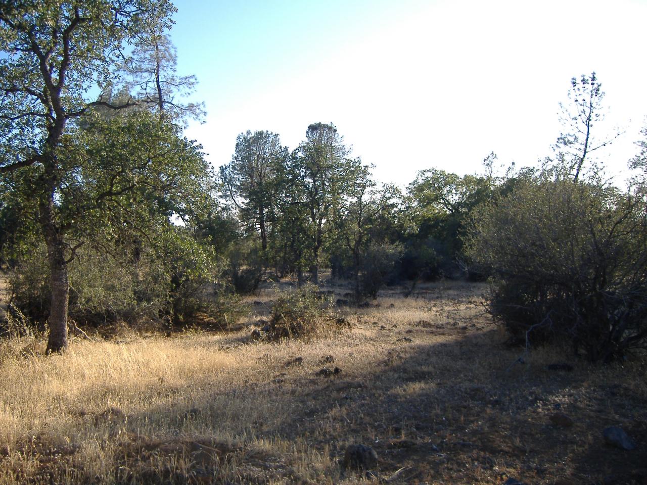 Wildcat Shingletown, CA 96088 - Photo 6 of 7 Over 25 acres are near level