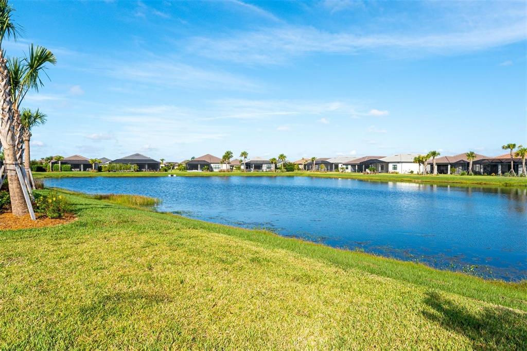18023 Waterville Place Lakewood Ranch, FL 34202 - Photo 31 of 41 a view of a lake with houses