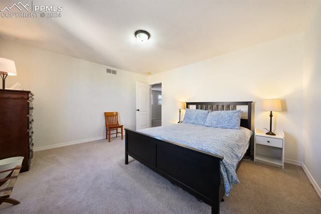 907 Spectrum Loop Colorado Springs, CO 80921 - Photo 27 of 44 View of carpeted bedroom