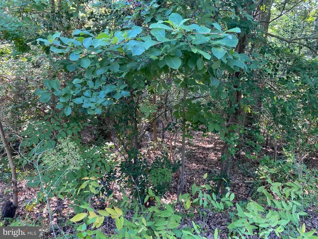 $5,000 | 11525 Senora Lane, Lusby, MD 20657