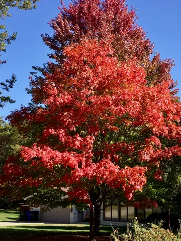 $559,000 | 12811 South 82nd Court, Palos Park, IL 60464