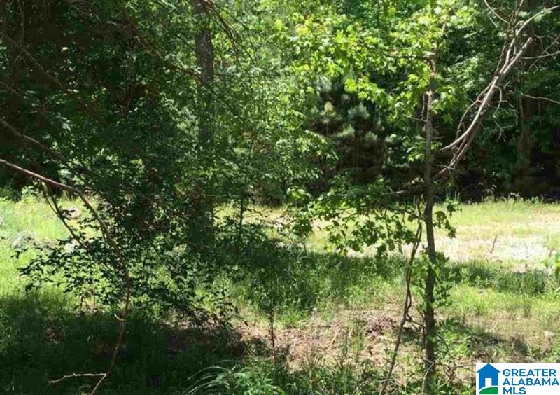 Whites Gap Road, Unit 18 96 Jacksonville, AL 36265 - Photo 1 of 5