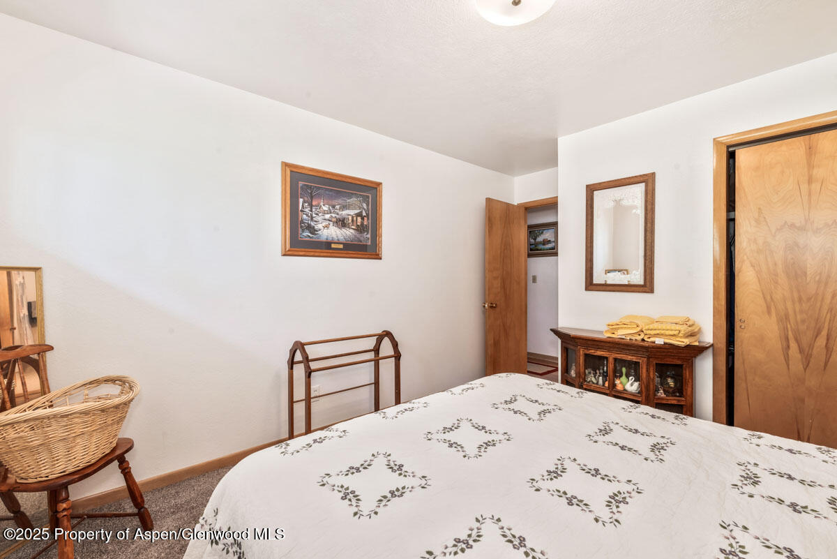 590 Steele Street Craig, CO 81625 - Photo 39 of 98 IMGP4496