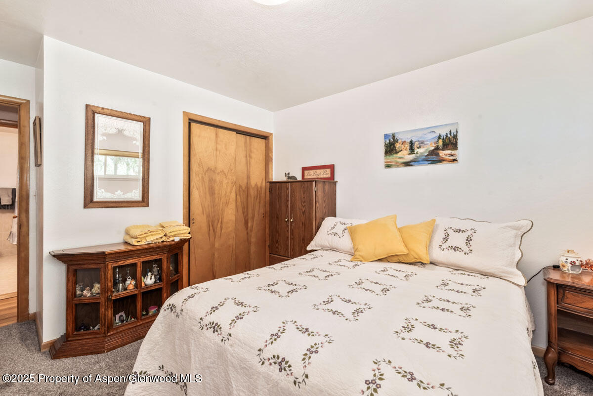 590 Steele Street Craig, CO 81625 - Photo 40 of 98 IMGP4491