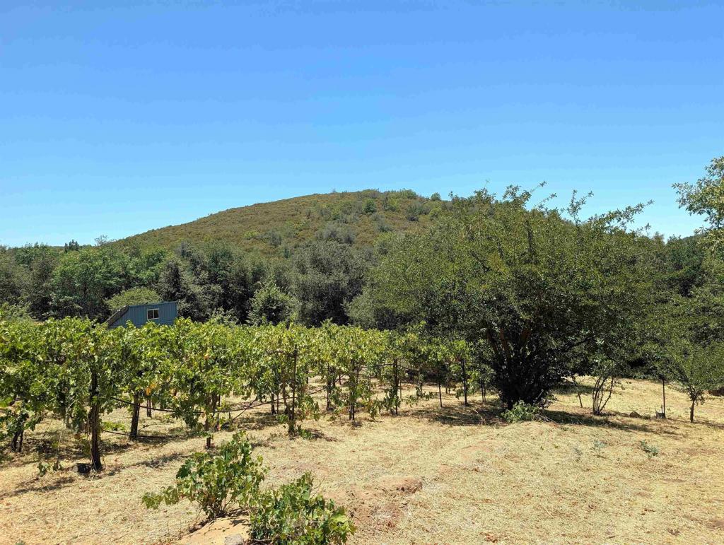 6911 Engineers Road Julian, CA 92036 - Photo 42 of 47