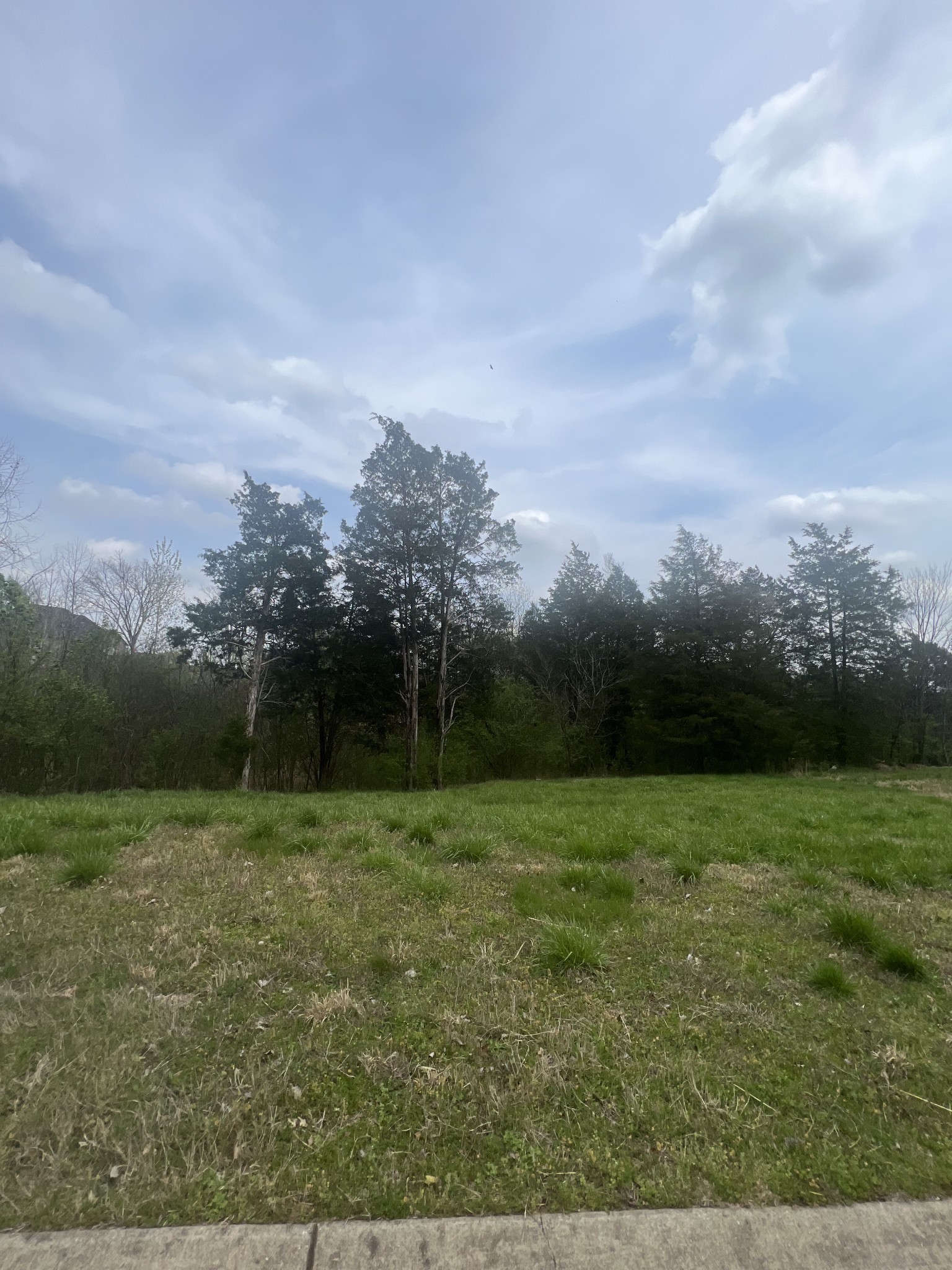 139 Angels Cove Lane Lebanon, TN 37087 - Photo 2 of 6 a view of outdoor space with green field and trees